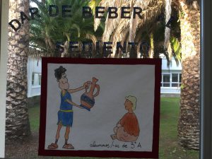 IMG_6582